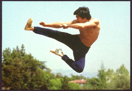 bruce lee karate training